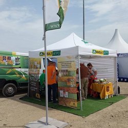 Золотая Нива 2024