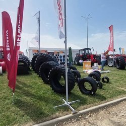 Золотая Нива 2024