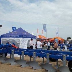 Золотая Нива 2024