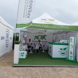 Золотая Нива 2024