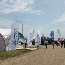 Золотая Нива 2024