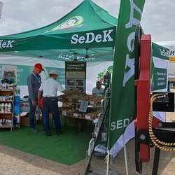 Золотая Нива 2024