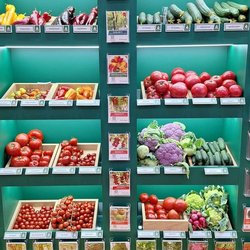 ЮГАГРО 2024: фотоотчет с выставки