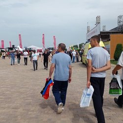 Золотая Нива 2024