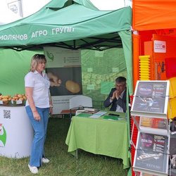 Золотая Нива 2024