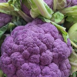 ЮГАГРО 2024: фотоотчет с выставки