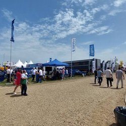 Золотая Нива 2024