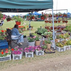 Золотая Нива 2024