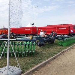 Золотая Нива 2024