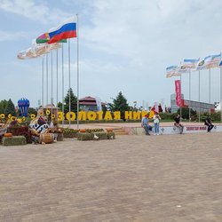 Золотая Нива 2024