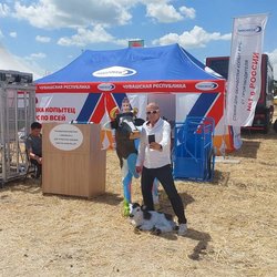 Золотая Нива 2024