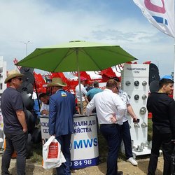 Золотая Нива 2024