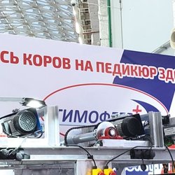 Фотоотчет с Международного Сельскохозяйственного Конгресса ASIAEXPO 2024