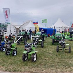 Золотая Нива 2024