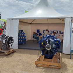 Золотая Нива 2024