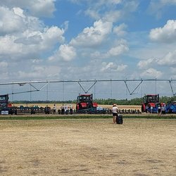 Золотая Нива 2024