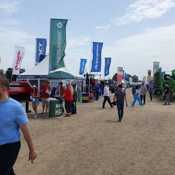 Золотая Нива 2024