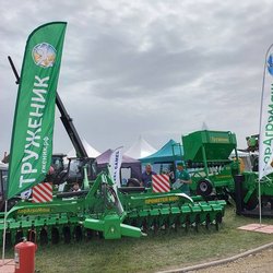 Золотая Нива 2024