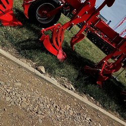 Золотая Нива 2024