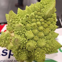 ЮГАГРО 2024: фотоотчет с выставки