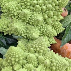 ЮГАГРО 2024: фотоотчет с выставки