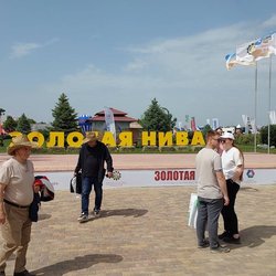 Золотая Нива 2024