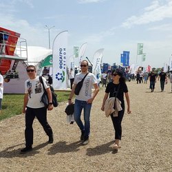 Золотая Нива 2024