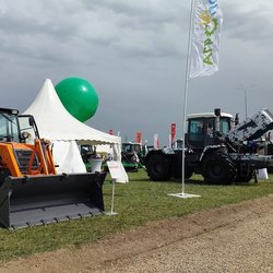 Золотая Нива 2024