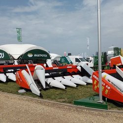 Золотая Нива 2024