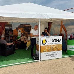 Золотая Нива 2024