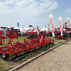 Золотая Нива 2024