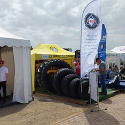 Золотая Нива 2024