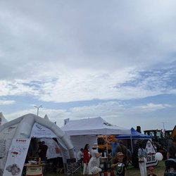 Золотая Нива 2024