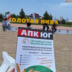 Золотая Нива 2024