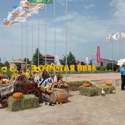 Золотая Нива 2024