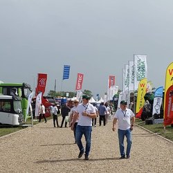 Золотая Нива 2024