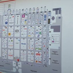 Золотая Нива 2024