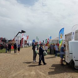 Золотая Нива 2024