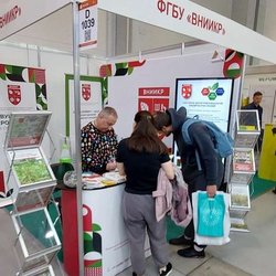 ЮГАГРО 2024: фотоотчет с выставки