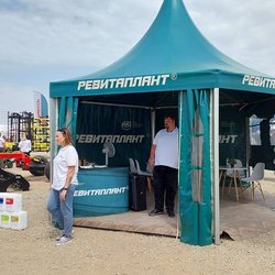 Золотая Нива 2024