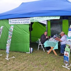 Золотая Нива 2024