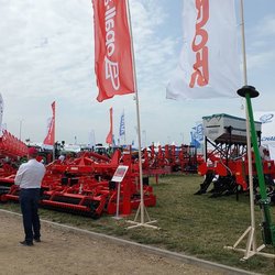 Золотая Нива 2024