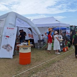 Золотая Нива 2024