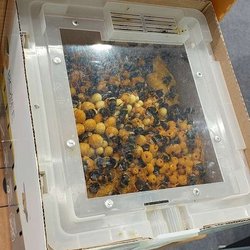 ЮГАГРО 2024: фотоотчет с выставки