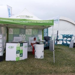 Золотая Нива 2024