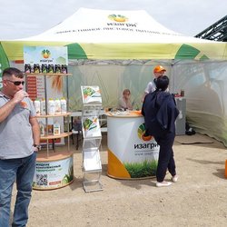 Золотая Нива 2024