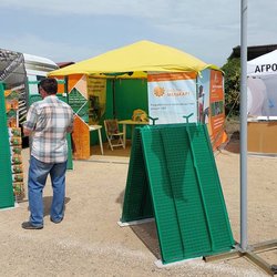 Золотая Нива 2024