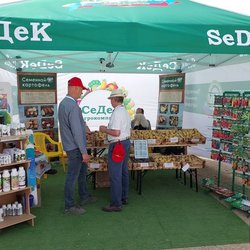 Золотая Нива 2024