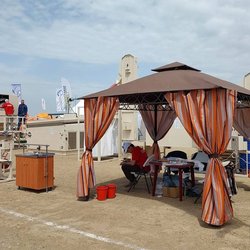 Золотая Нива 2024