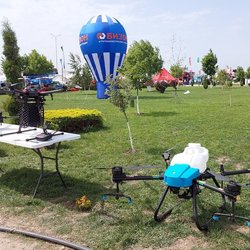 Золотая Нива 2024